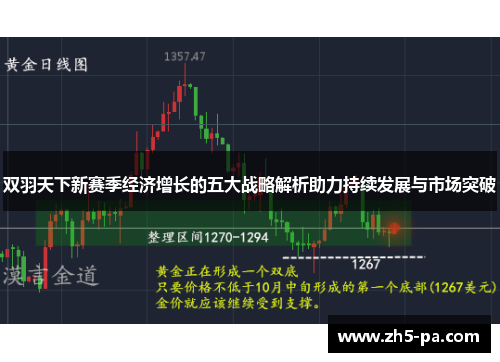 双羽天下新赛季经济增长的五大战略解析助力持续发展与市场突破