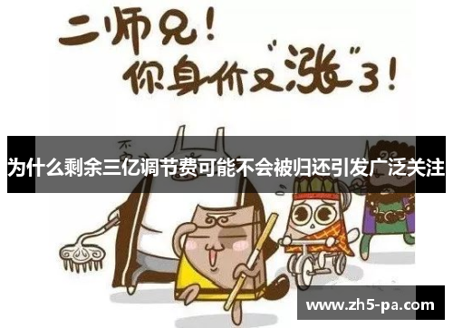 为什么剩余三亿调节费可能不会被归还引发广泛关注