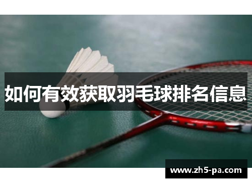 如何有效获取羽毛球排名信息