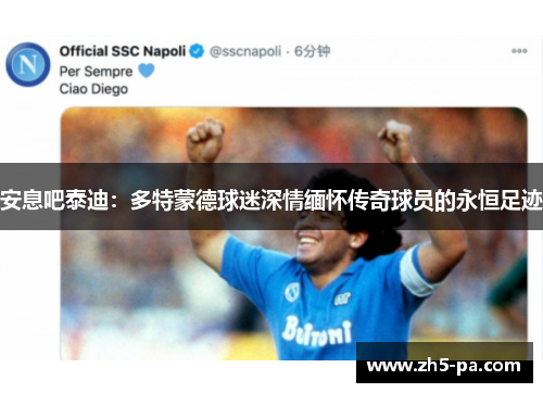 安息吧泰迪：多特蒙德球迷深情缅怀传奇球员的永恒足迹