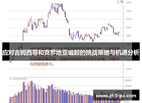 应对吉姆西蒂和克罗地亚崛起的挑战策略与机遇分析