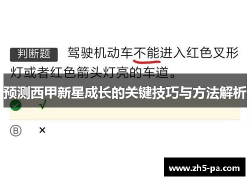 预测西甲新星成长的关键技巧与方法解析