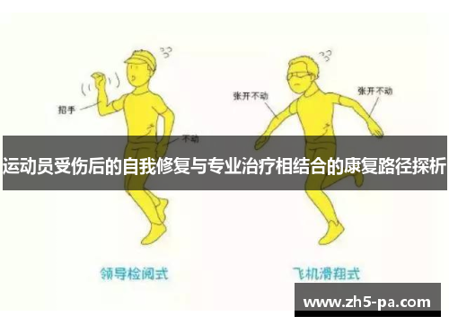 运动员受伤后的自我修复与专业治疗相结合的康复路径探析