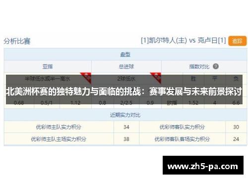 北美洲杯赛的独特魅力与面临的挑战：赛事发展与未来前景探讨