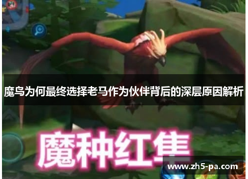 魔鸟为何最终选择老马作为伙伴背后的深层原因解析 魔鸟为何最终选择老马作为伙伴背后的深层原因解析