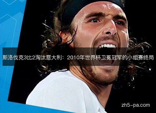 斯洛伐克3比2淘汰意大利:2010年世界杯卫冕冠军的小组赛终局 斯洛伐克3比2淘汰意大利:2010年世界杯卫冕冠军的小组赛终局
